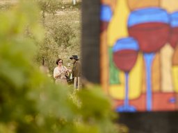 Festival Mar de Tethys 2026 - Bodega Vetas